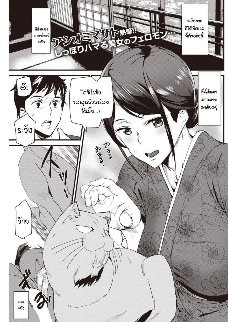 น้องแมวที่บ่อออนเซ็นของคุณนายเจ้าของเรียวกัง .[Ashiomi Masato] Nekoonsen no wakaokami