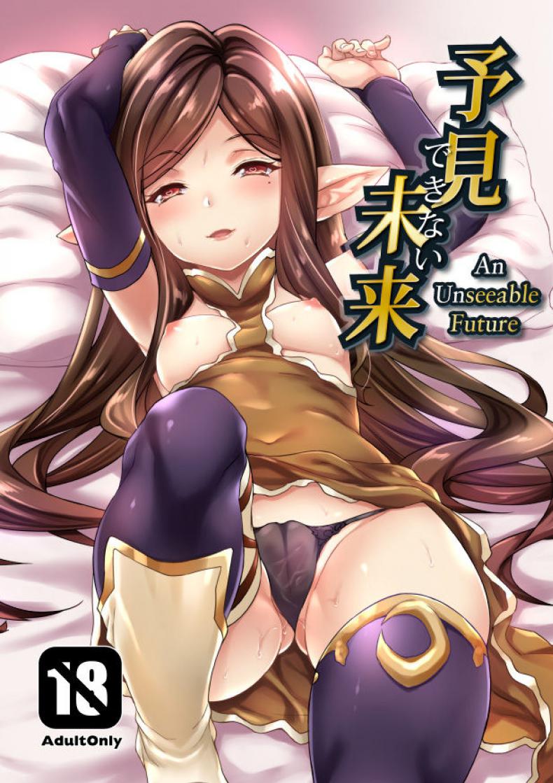 อนาคตที่มองไม่เห็น [Mugen Jirai (Mushi)] Yoken Dekinai Mirai | An Unseeable Future (Granblue Fantasy)