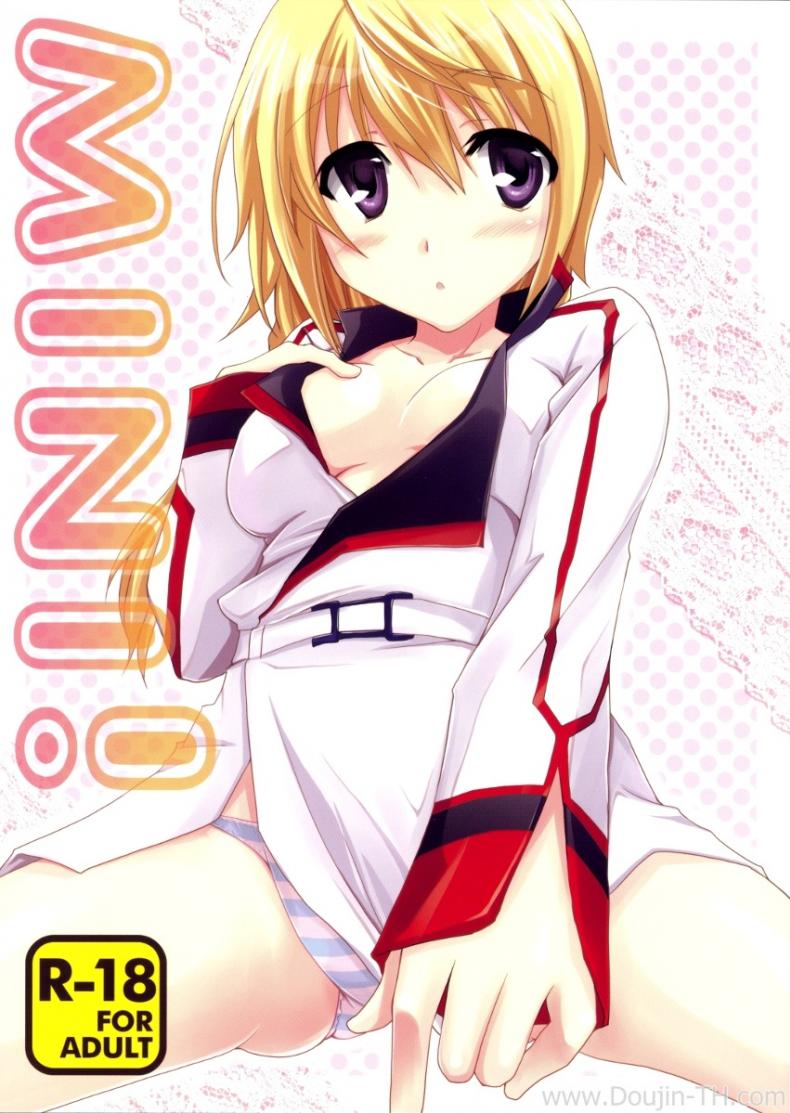 อุปกรณ์ประกอบการเสร็จกิจ [Yamabuki Mook] MINI! (Infinite stratos)